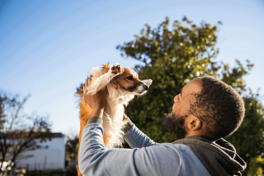 Giving Thanks for Our Furry Friends: Celebrating the Positive Impact of Pets on Our Well-Being