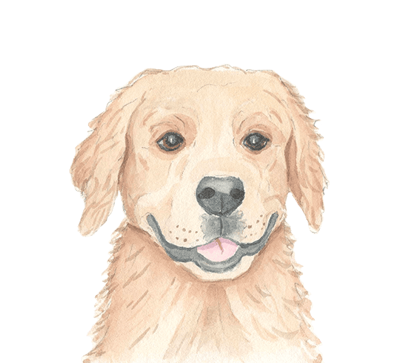 Contact - Dog Walking & Pet Sitting in Washington, Morton, Metamora, Eureka, East Peoria and Peoira since 2018